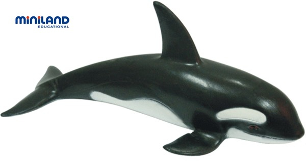 Miniland-Animale-marine-set-de-8-figurine-Miniland [3]