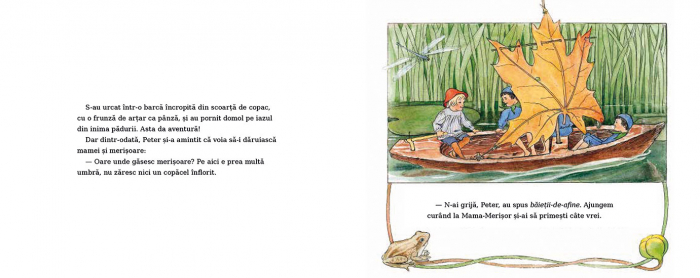 Editura-Cartea-Copiilor-Aventurile-lui-Peter-in-Tara-Afinelor-Elsa-Beskow [4]