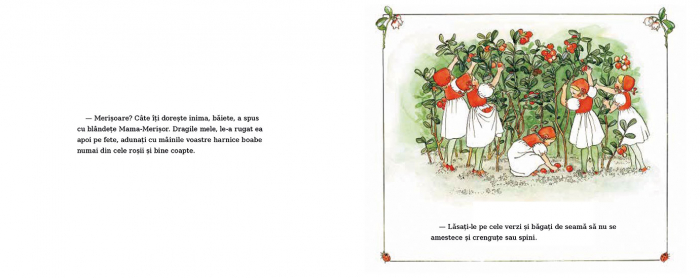 Editura-Cartea-Copiilor-Aventurile-lui-Peter-in-Tara-Afinelor-Elsa-Beskow [5]