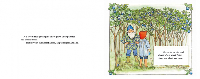 Editura-Cartea-Copiilor-Aventurile-lui-Peter-in-Tara-Afinelor-Elsa-Beskow [3]