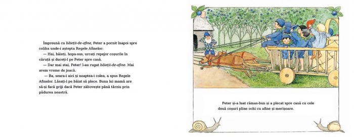 Editura-Cartea-Copiilor-Aventurile-lui-Peter-in-Tara-Afinelor-Elsa-Beskow [6]