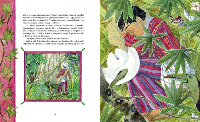 Editura-Cartea-Copiilor-Basmele-padurii-Rina-Singh [4]