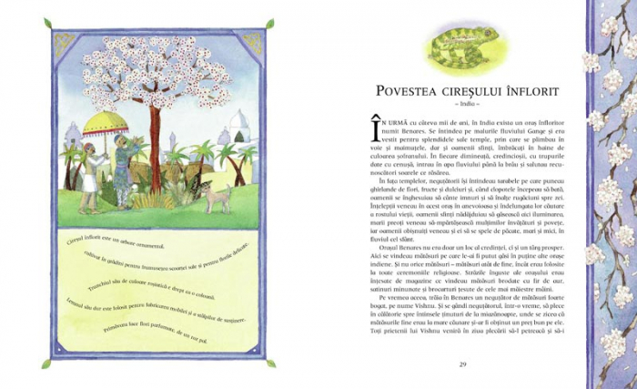 Editura-Cartea-Copiilor-Basmele-padurii-Rina-Singh [2]