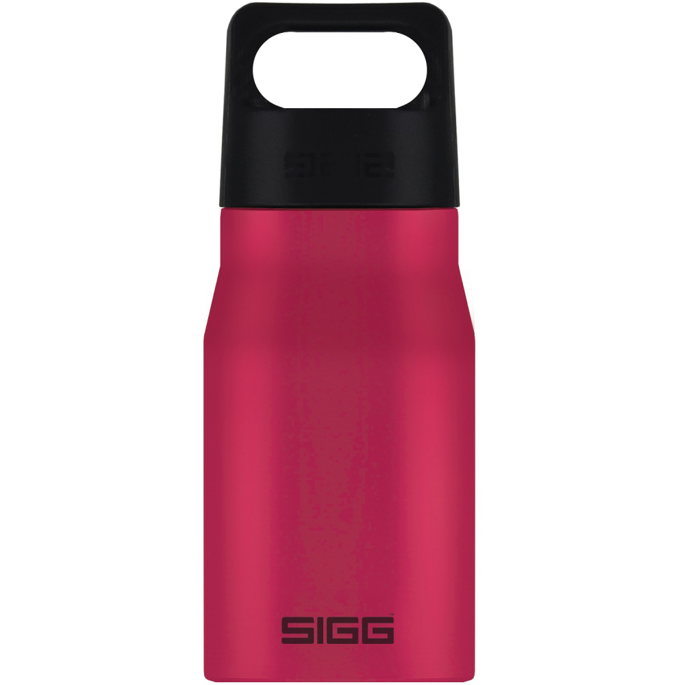 Bidon din otel inoxidabil Explorer Deep Magenta, 0.55l [1]