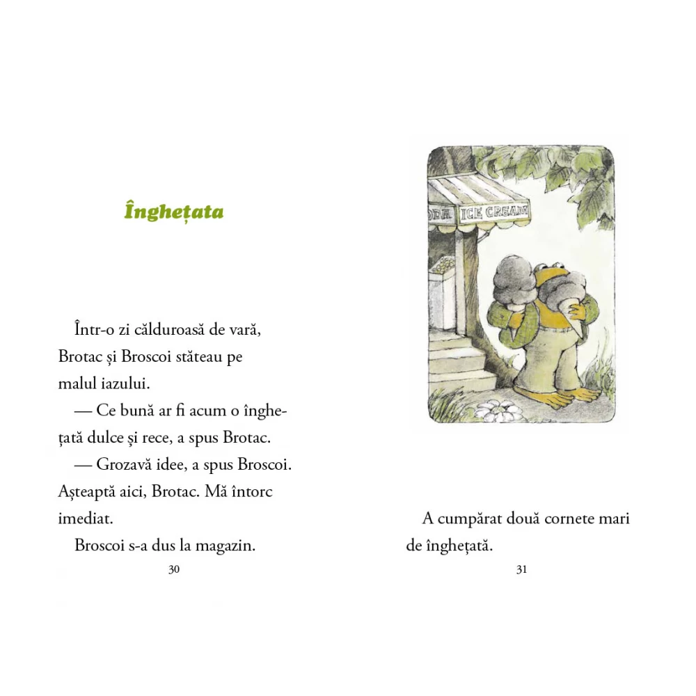 Portocala-albastra-Broscoi-si-Brotac-in-toate-anotimpurile-de-Arnold-Lobel [5]