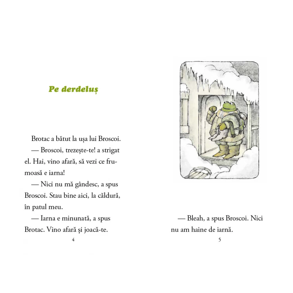 Portocala-albastra-Broscoi-si-Brotac-in-toate-anotimpurile-de-Arnold-Lobel [3]
