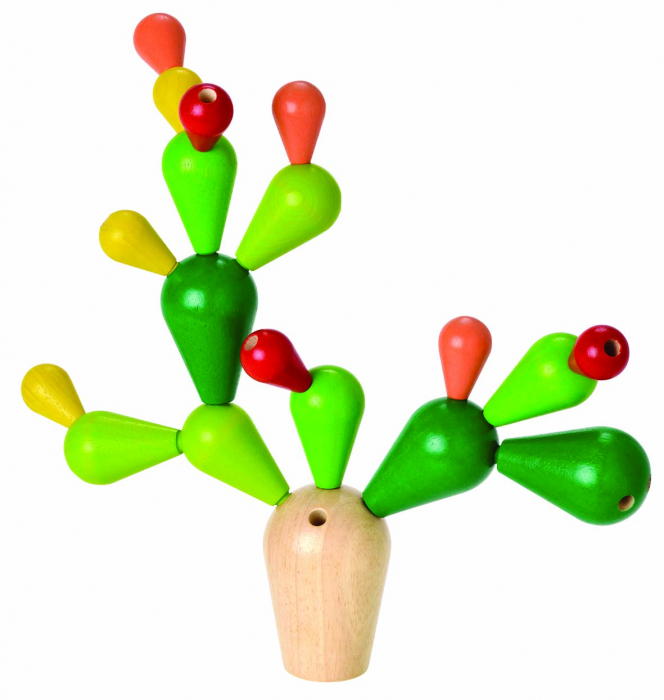 Plan-Toys-Cactus-in-echilibru [1]
