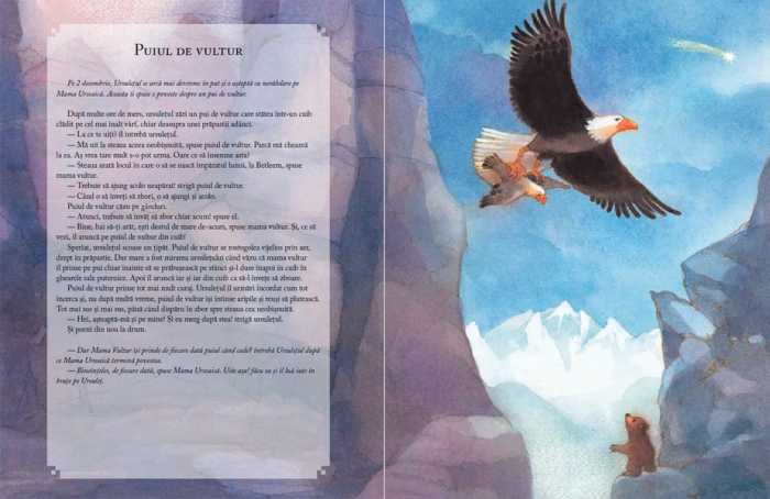 Editura-Cartea-Copiilor-Cand-vine-Craciunul-de-Antonie-Schneider-ilustratii-de-Maja-Dusikova [3]