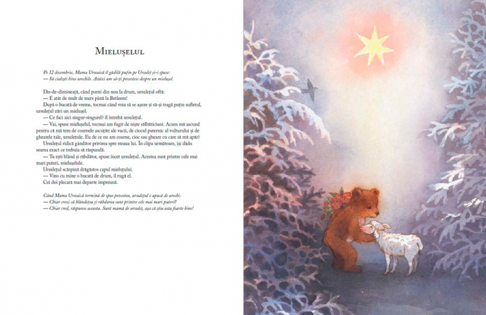 Editura-Cartea-Copiilor-Cand-vine-Craciunul-de-Antonie-Schneider-ilustratii-de-Maja-Dusikova [7]