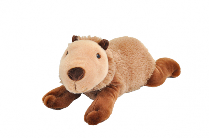 Wild Republic Capibara Ecokins - Jucarie Plus Wild Republic 20 cm [2]