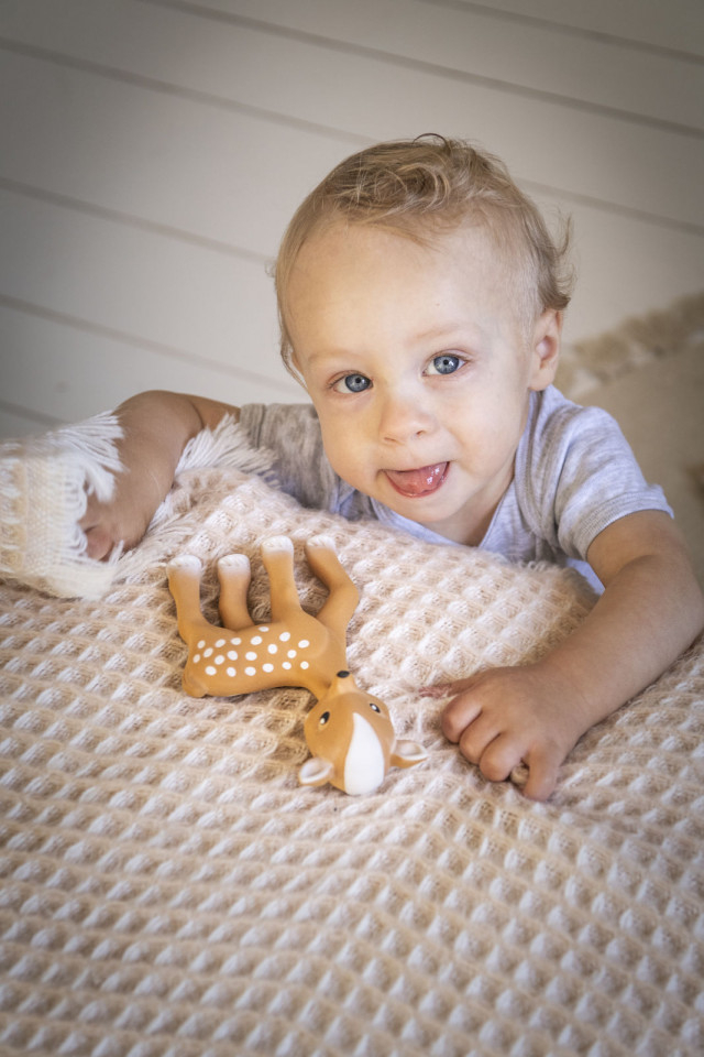 Capriorul FANFAN In Cutie Cadou Girafa Sophie [5]