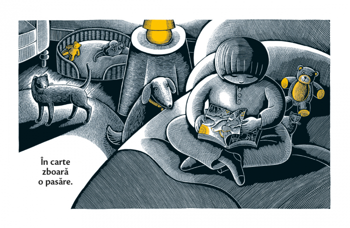Editura Cartea Copiilor Casa in timpul nopÈ›ii - de Susan Marie Swanson ilustraÈ›ii de Beth Krommes [6]