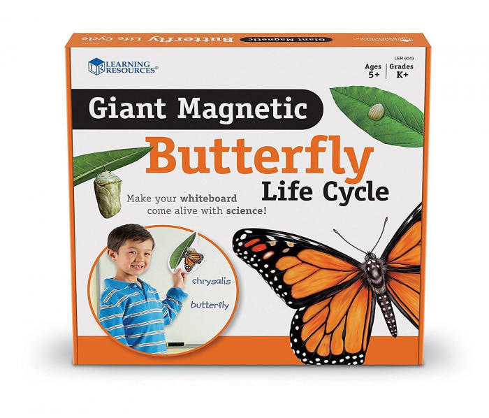 Learning Resources-Ciclul vietii fluturelui - set magnetic [2]