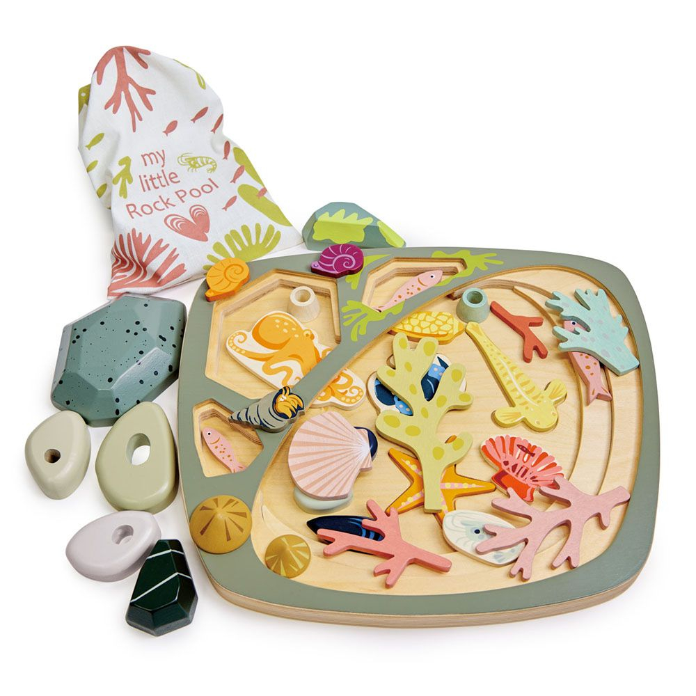 Colectia mea de pietre, din lemn premium - My little rock pool - Tender Leaf Toys [2]