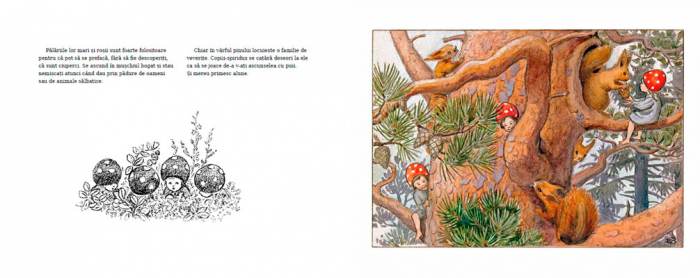 Portocala Albastra-Copiii padurii - ELSA BESKOW [2]