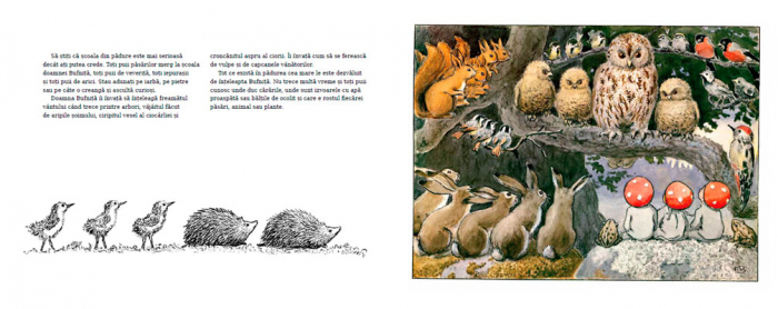 Portocala Albastra-Copiii padurii - ELSA BESKOW [4]
