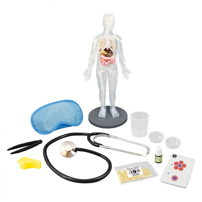 Pachet Introducere in anatomia corpului uman! [2]