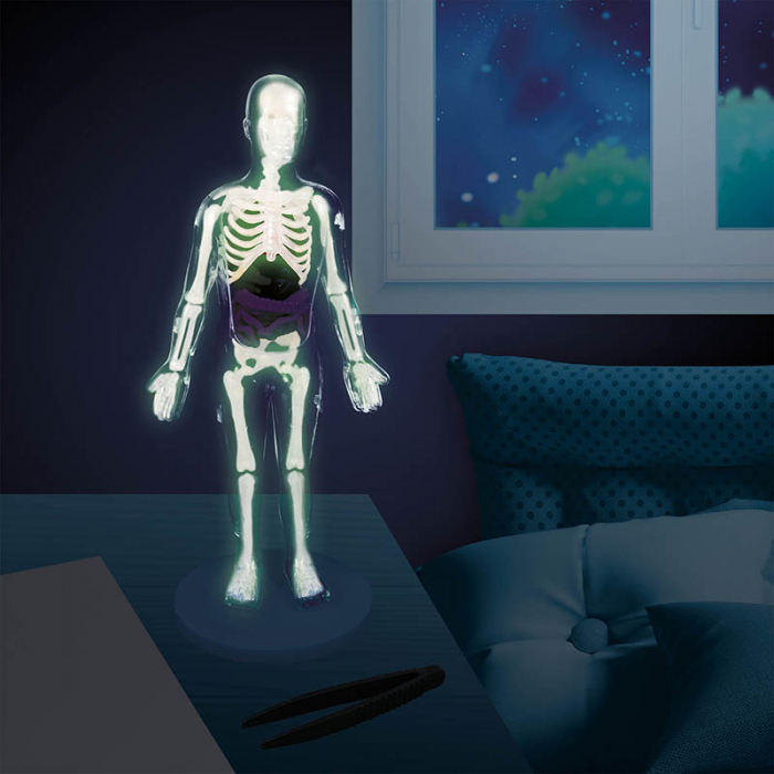 Pachet Introducere in anatomia corpului uman! [3]
