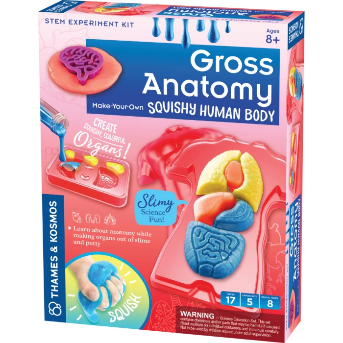 Pachet Introducere in anatomia corpului uman! [4]