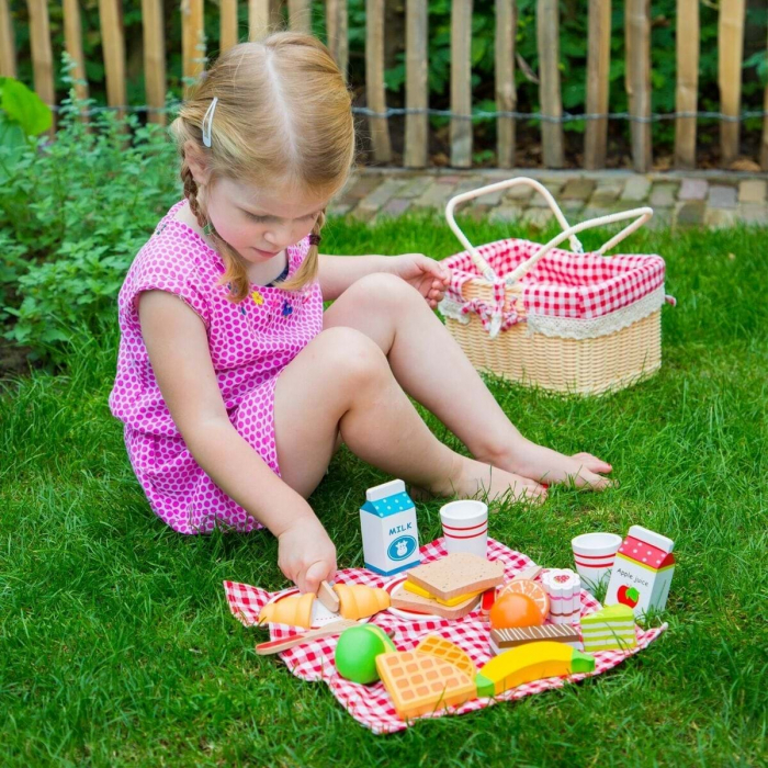 New-Classic-Toys-Cos-picnic [3]