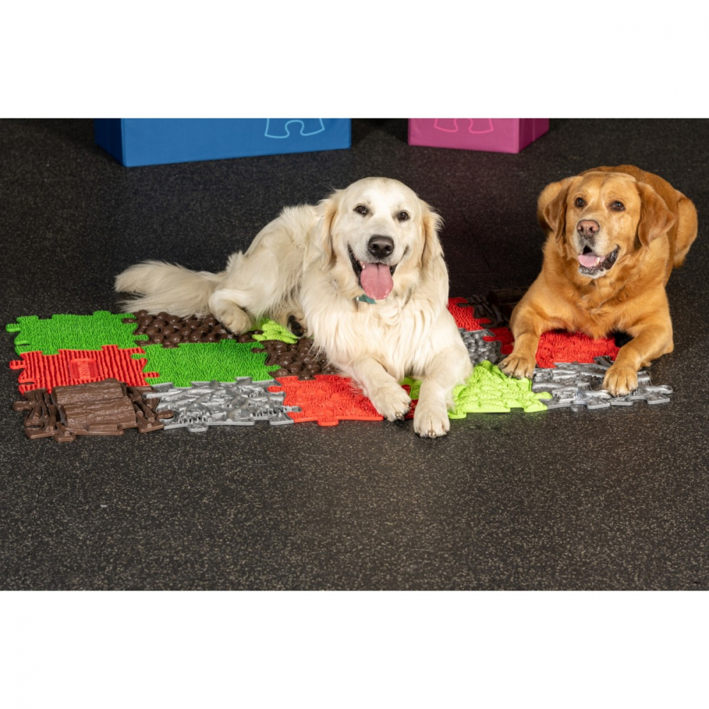 Covoras ortopedic senzorial puzzle Set pentru caini [4]