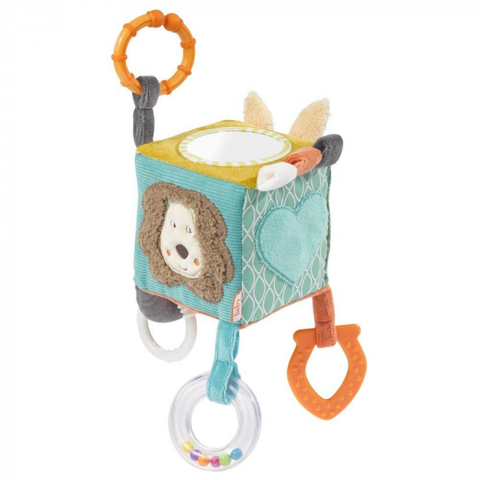 Fehn-Cub-din-plus-cu-activitati-Funky [6]