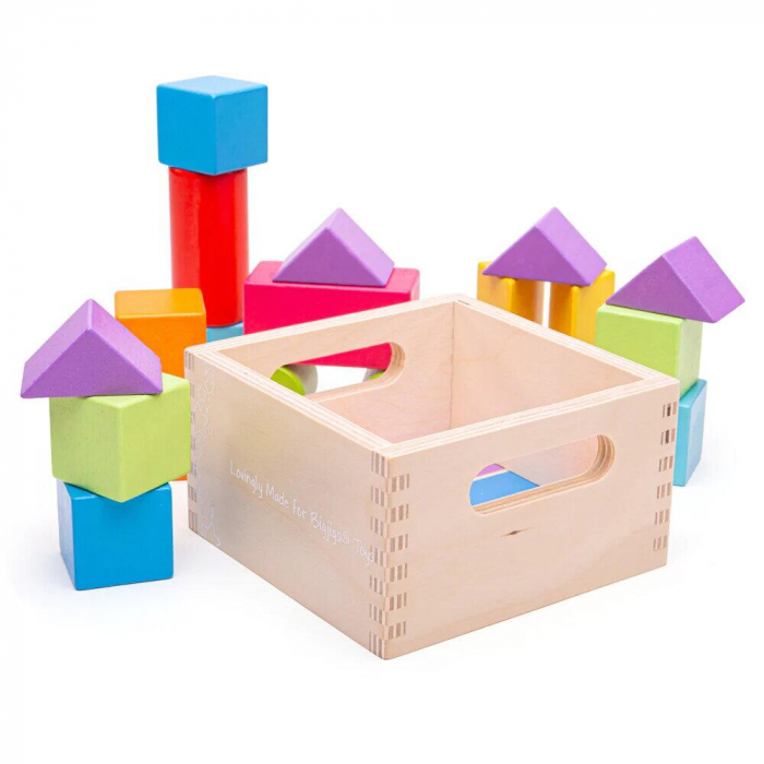 BIGJIGS Toys-Cuburi din lemn - Set 17 piese [3]