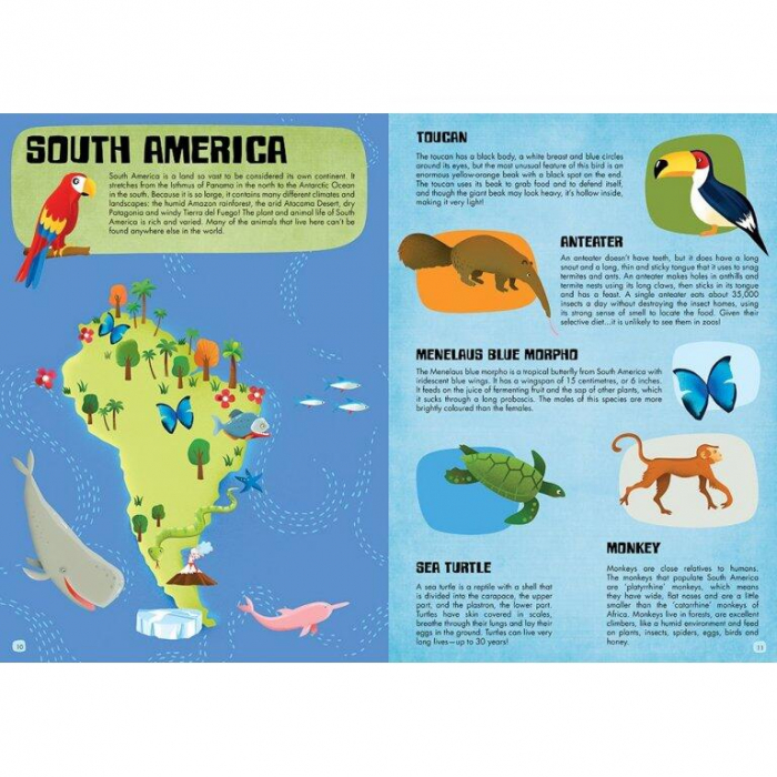 Sassi-Cunoaste-si-exploreaza-Lumea-animalelor [4]