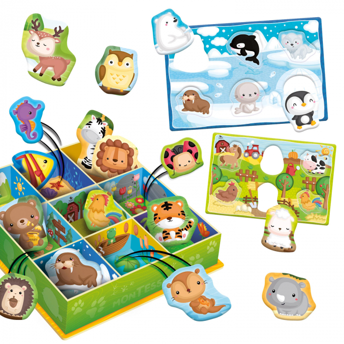 Lisciani-Cutiuta Montessori - Animalutele in mediul lor [2]