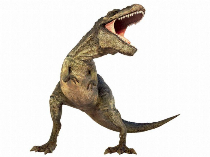 Natural-History-Museum-Diapozitive-Dinozauri [5]