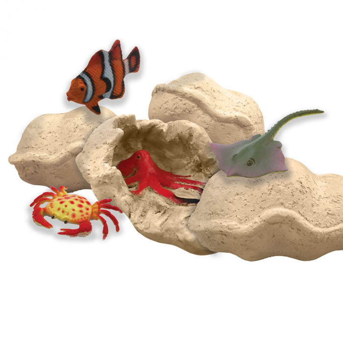 MindWare-Dig-It-Up-Discoveries-Sea-Life [4]