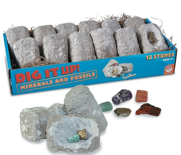 MindWare-Dig-It-Up-Fossils-Minerals [2]
