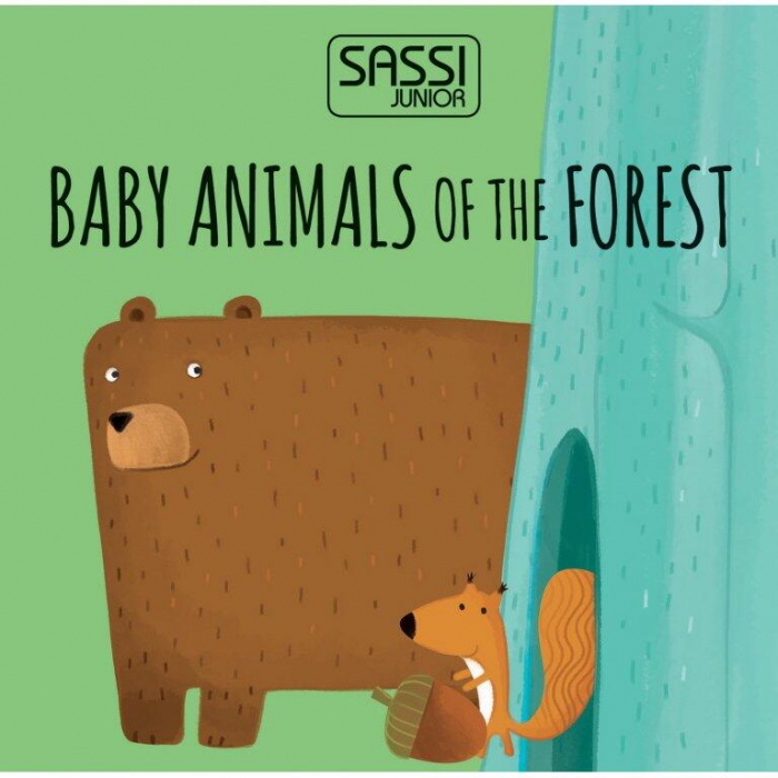 Sassi-Eco-Blocks-Animalutele-si-puii-lor [2]