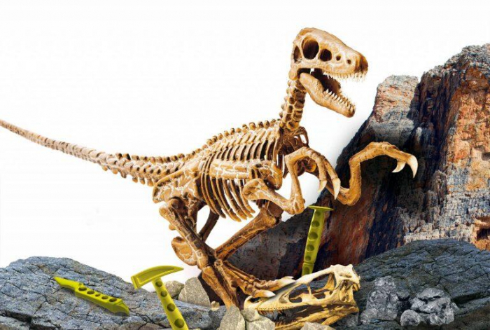 Lisciani-Experimentele micului geniu - Kit paleontologie Velociraptor [2]