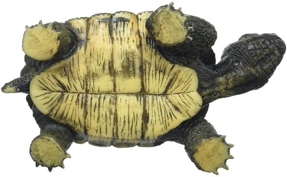 Bullyland-Figurina Broasca Testoasa - Jucarie Educativa, Animal Plastic, Design Realist [2]