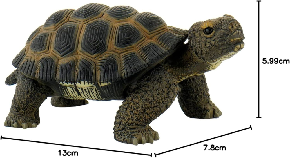 Bullyland-Figurina Broasca Testoasa - Jucarie Educativa, Animal Plastic, Design Realist [3]