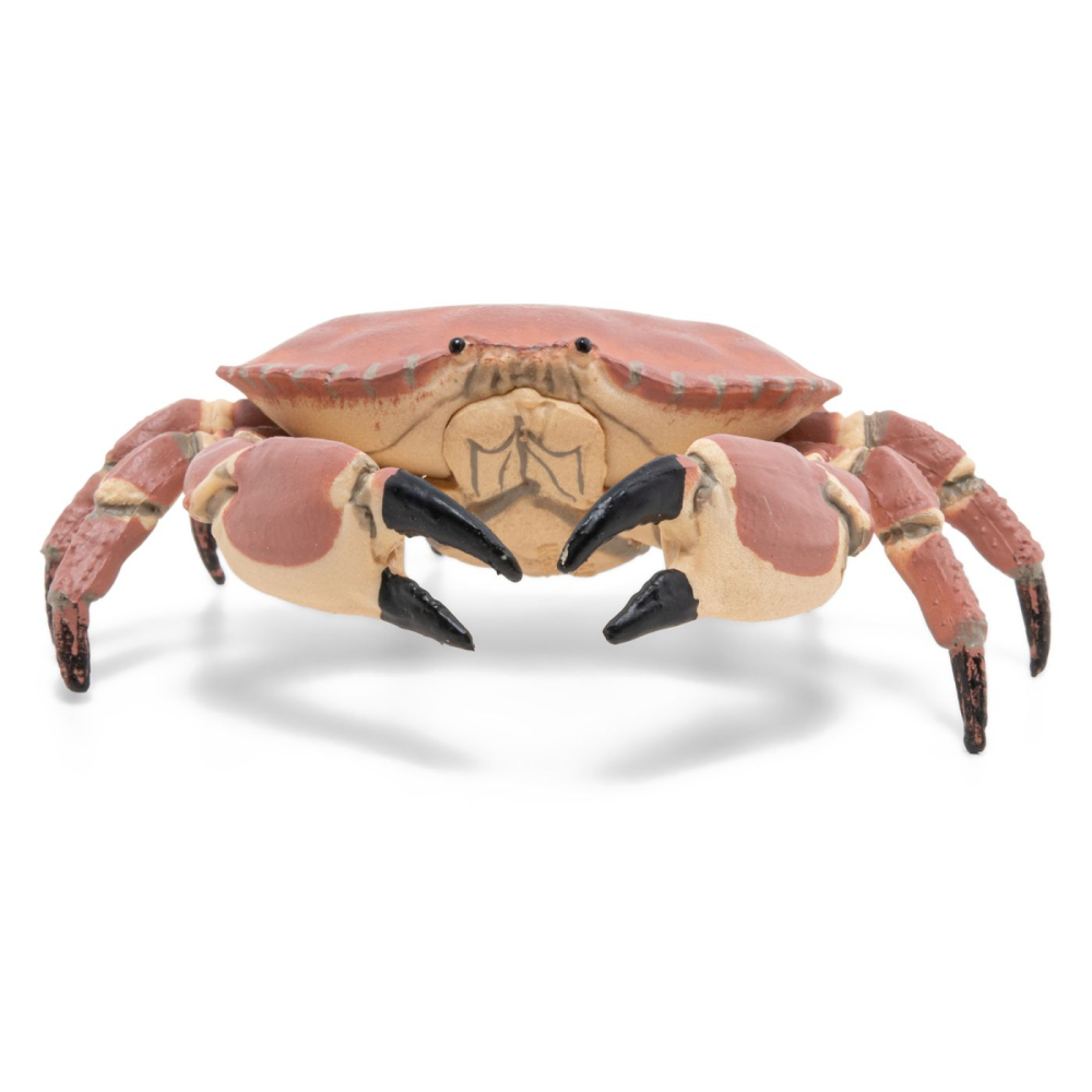 Papo-Figurina Papo Crab – Jucărie Marina, Model Realist pentru Joaca și Colecție [3]