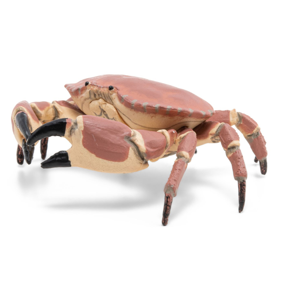 Papo-Figurina Papo Crab – Jucărie Marina, Model Realist pentru Joaca și Colecție [5]
