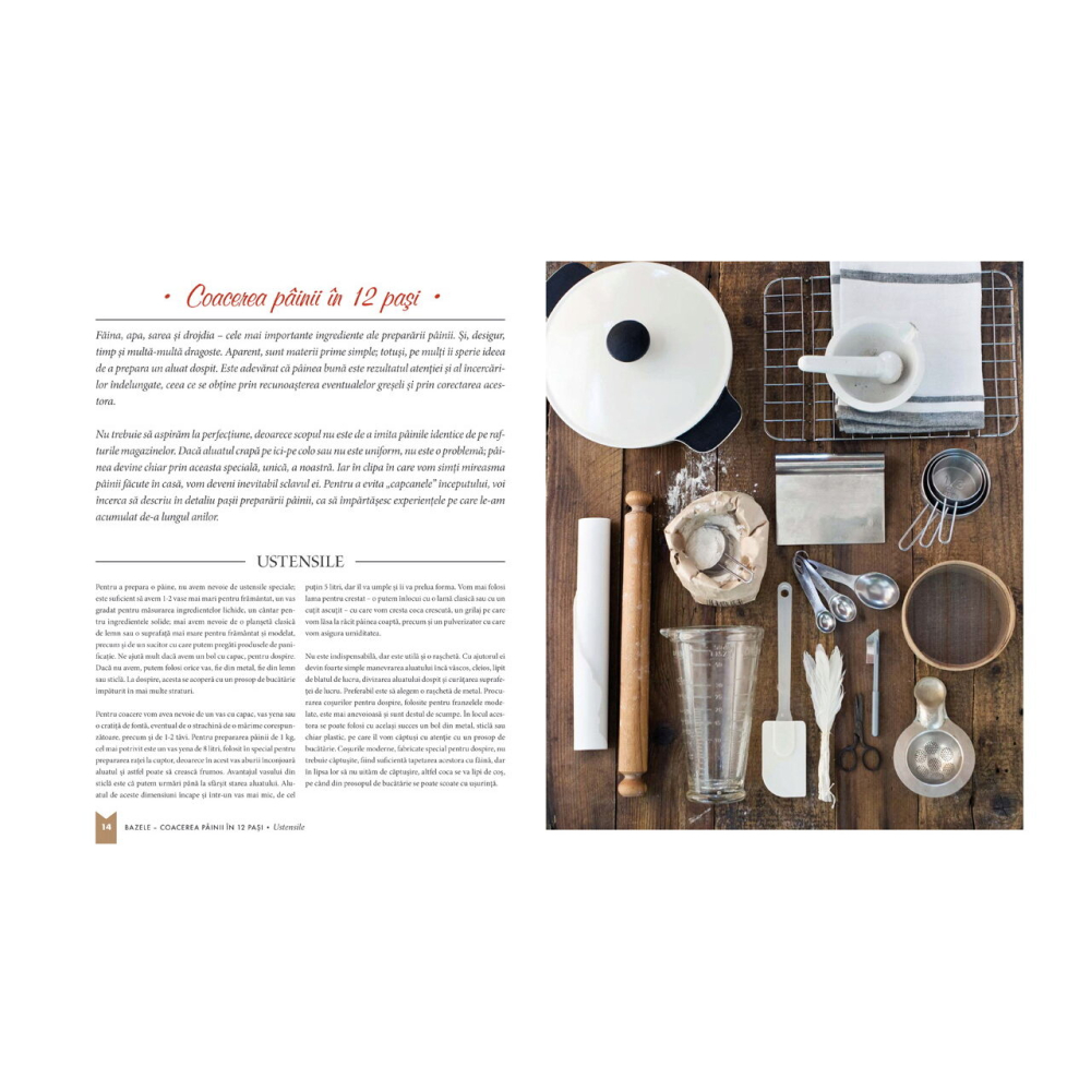 Editura Casa-Fii brutar la tine acasa! - Tothne Libor Maria [2]