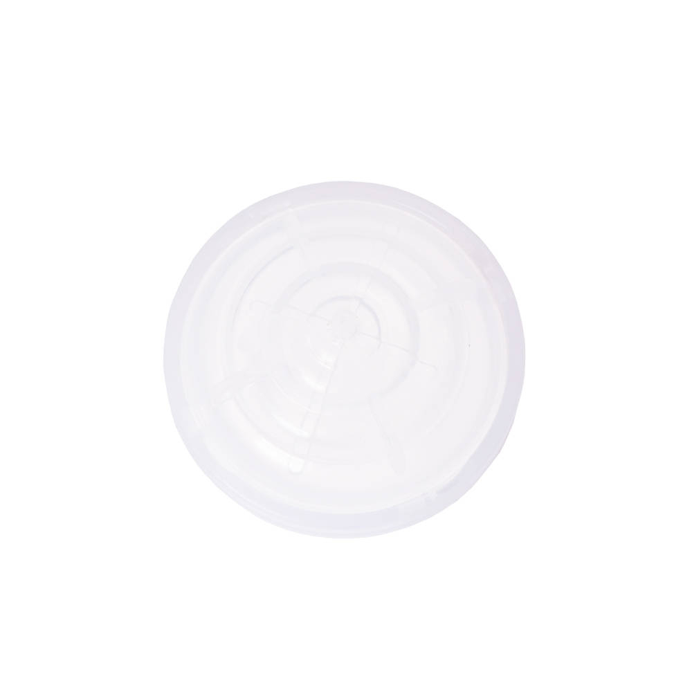 Filtru de protectie pentru flux invers [2]