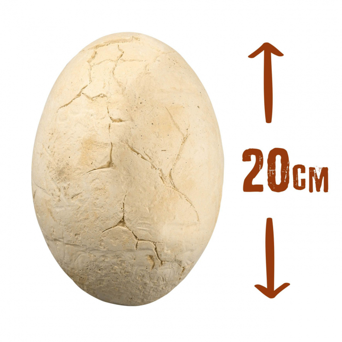 Buki-France-Fosila-ou-de-dinozaur-cu-4-specii-Set-de-explorare-si-constructie [9]