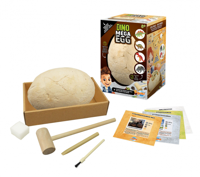 Buki-France-Fosila-ou-de-dinozaur-cu-4-specii-Set-de-explorare-si-constructie [2]