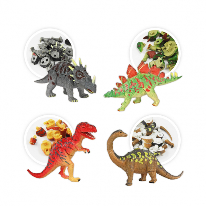 Buki-France-Fosila-ou-de-dinozaur-cu-4-specii-Set-de-explorare-si-constructie [6]