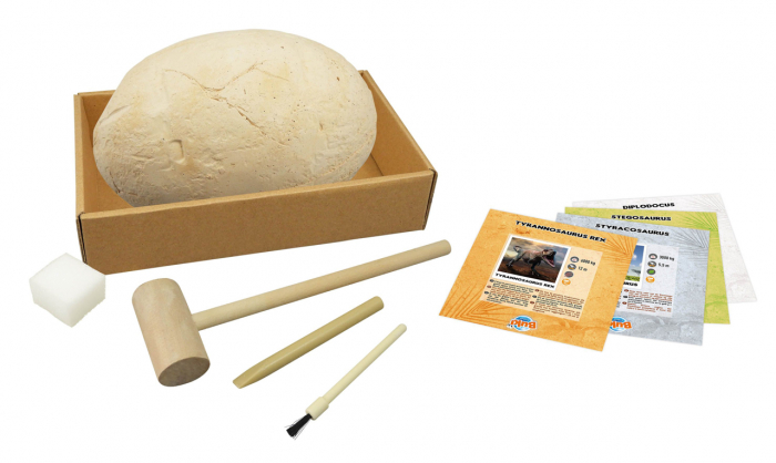 Buki-France-Fosila-ou-de-dinozaur-cu-4-specii-Set-de-explorare-si-constructie [4]