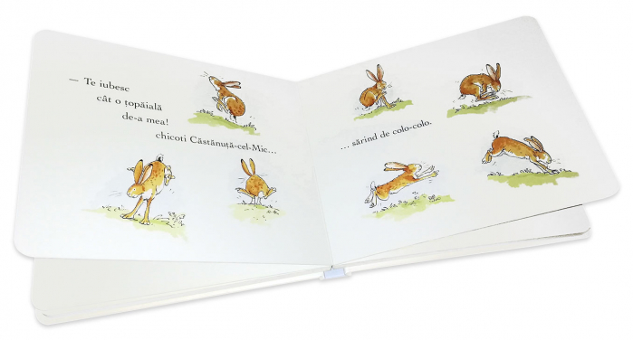Editura-Cartea-Copiilor-Ghici-cat-de-mult-Carte-cartonata-integral-Sam-McBratney [2]