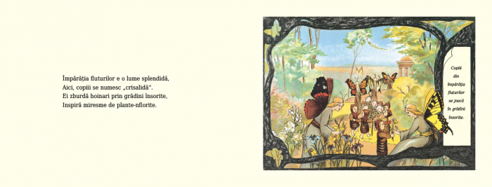 Editura Cartea Copiilor Imparatia fluturilor - de Sibylle von Olfers [2]