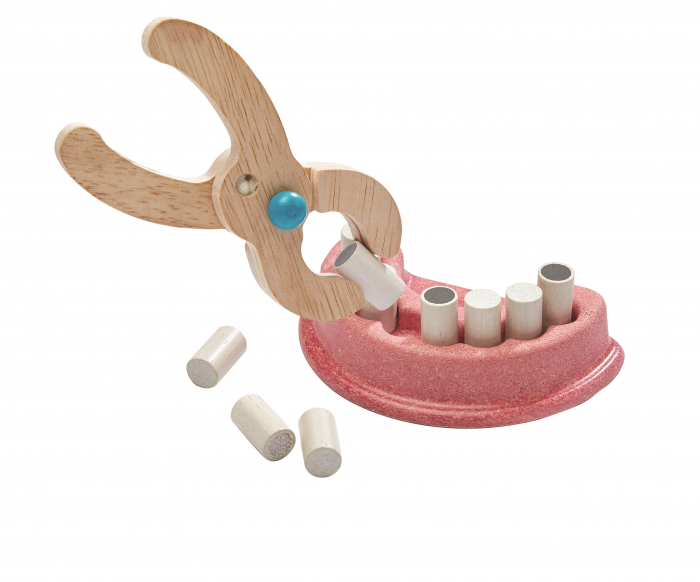 Plan-Toys-Joc-de-rol-Trusa-de-dentist-pentru-micul-stomatolog [4]