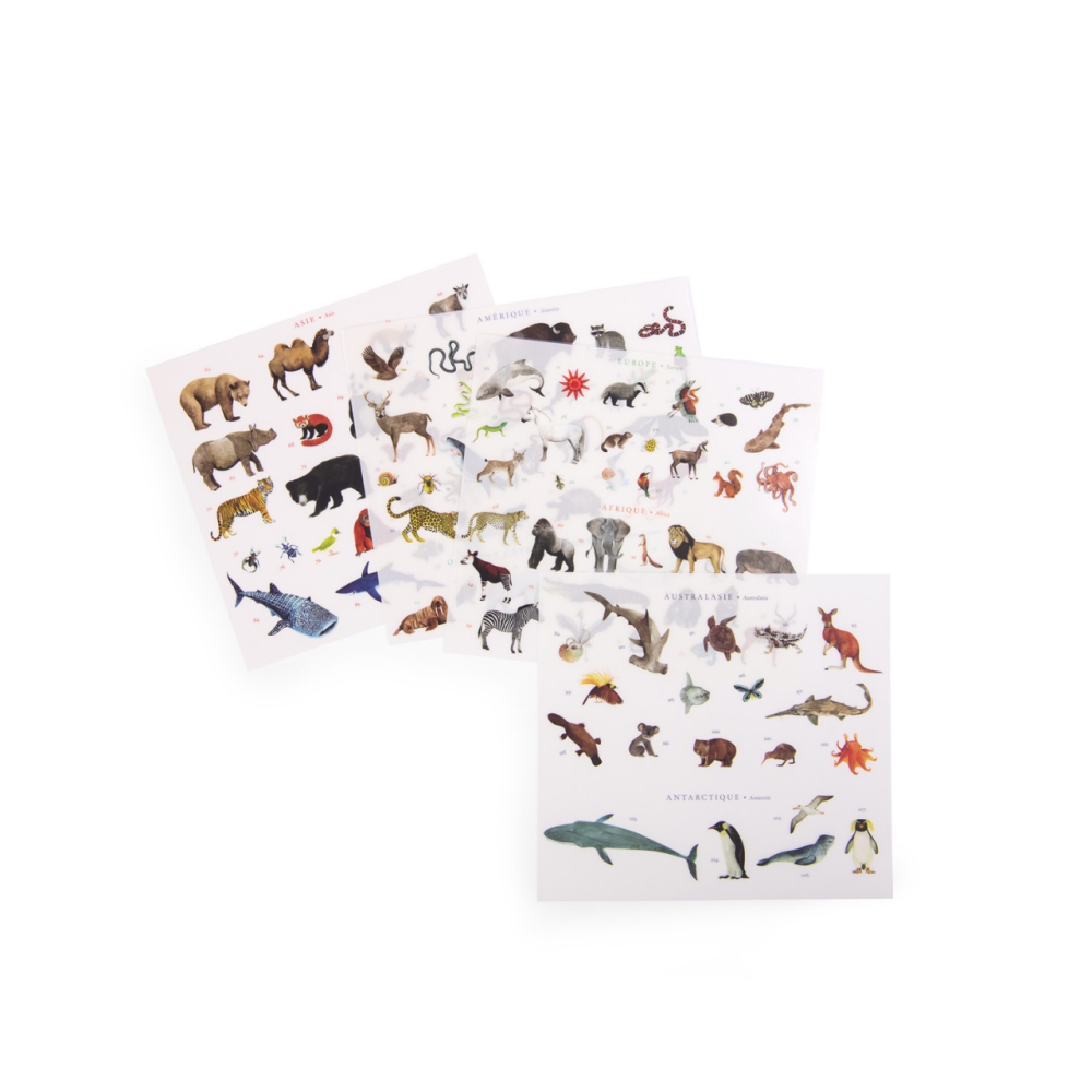 Moulin Roty-Joc de transfer Harta lumii, Moulin Roty [8]