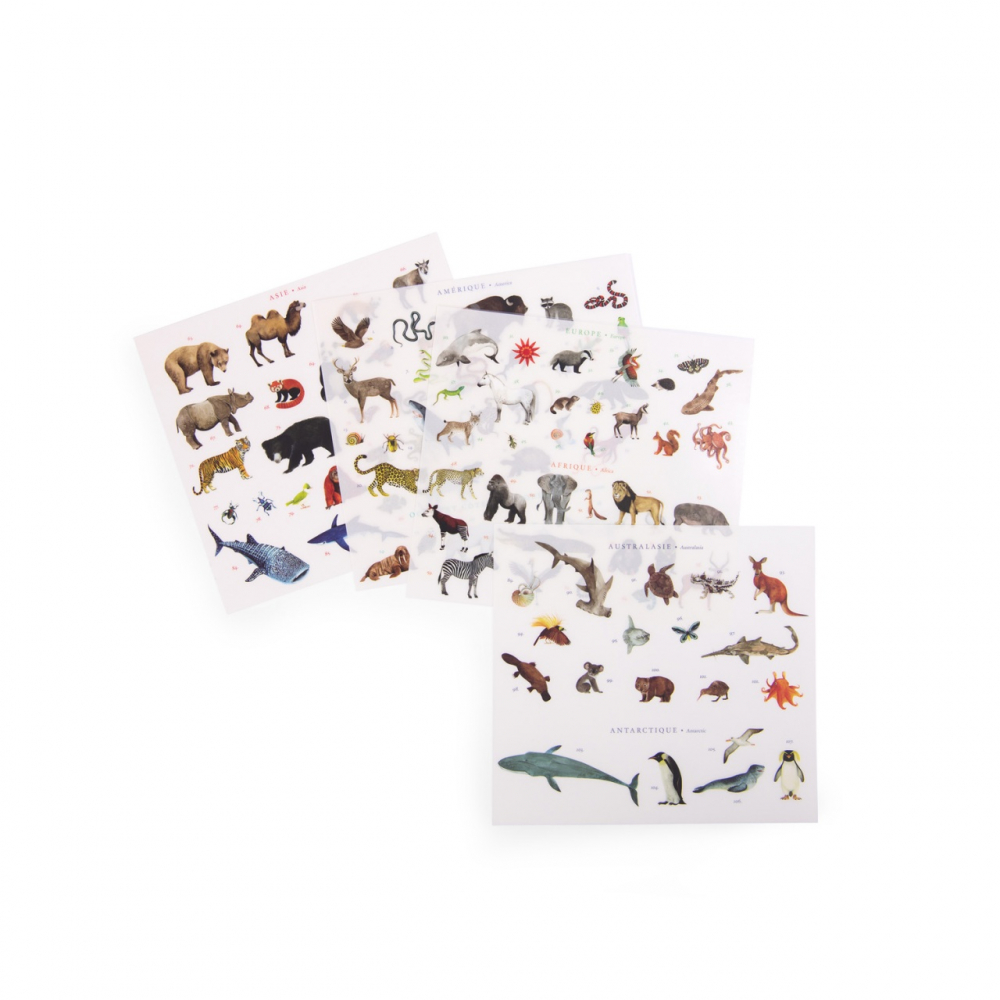 Moulin Roty-Joc de transfer Harta lumii, Moulin Roty [3]