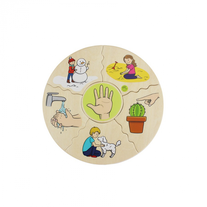 Beleduc Joc educativ Humanico Cele 5 simturi [6]